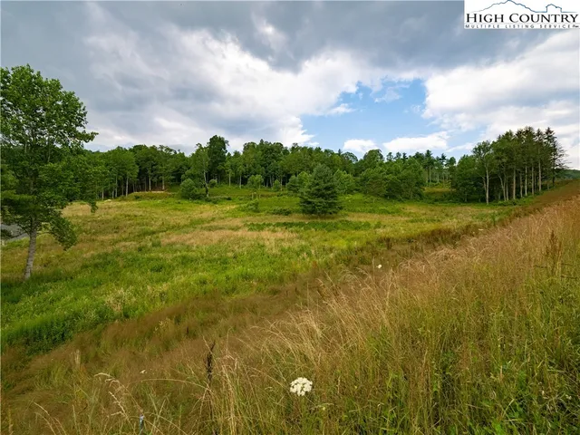 a view of lake with green space
