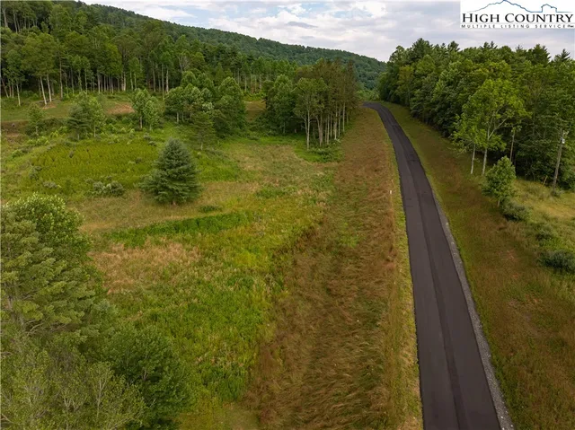 a view of a green field with plants