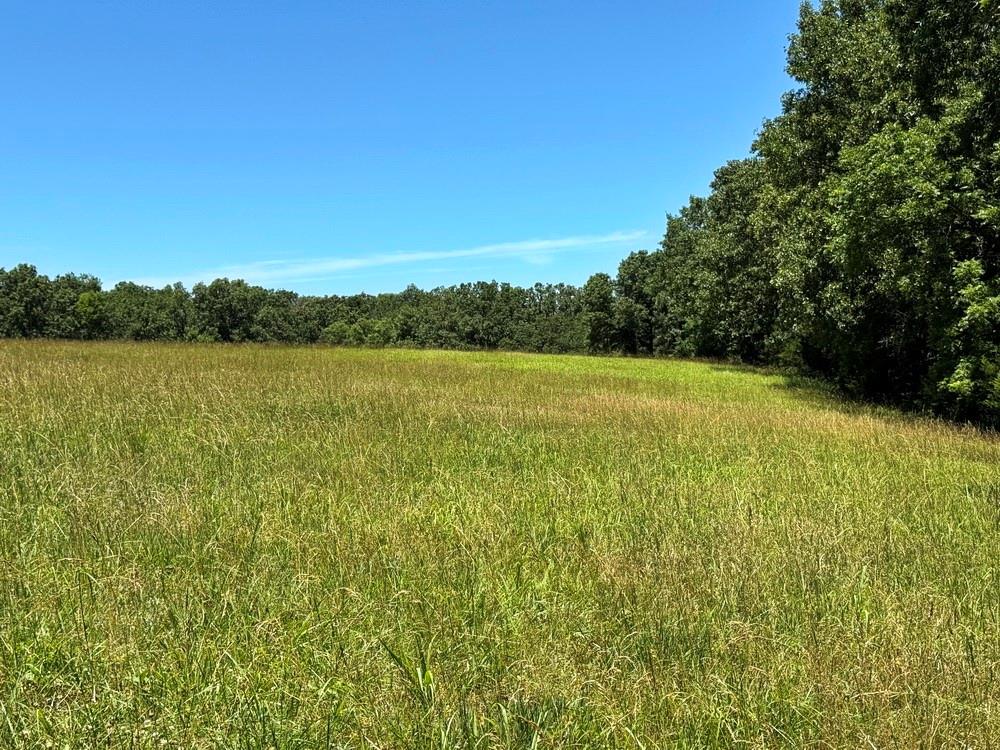 Tbd South 363 Road El Dorado Springs, MO 64744 - Photo 32 of 46
