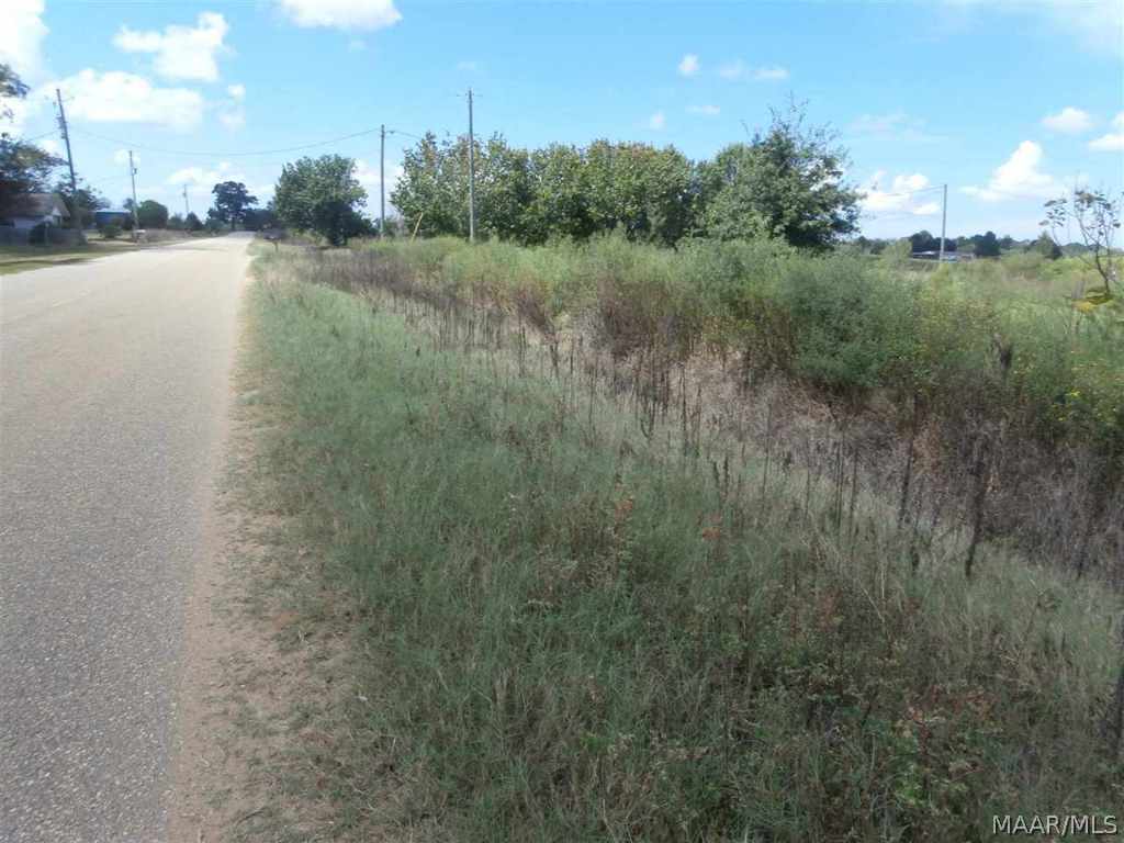 452 Hartzog Road Slocomb, AL 36375 - Photo 3 of 14 Gallery Image 3