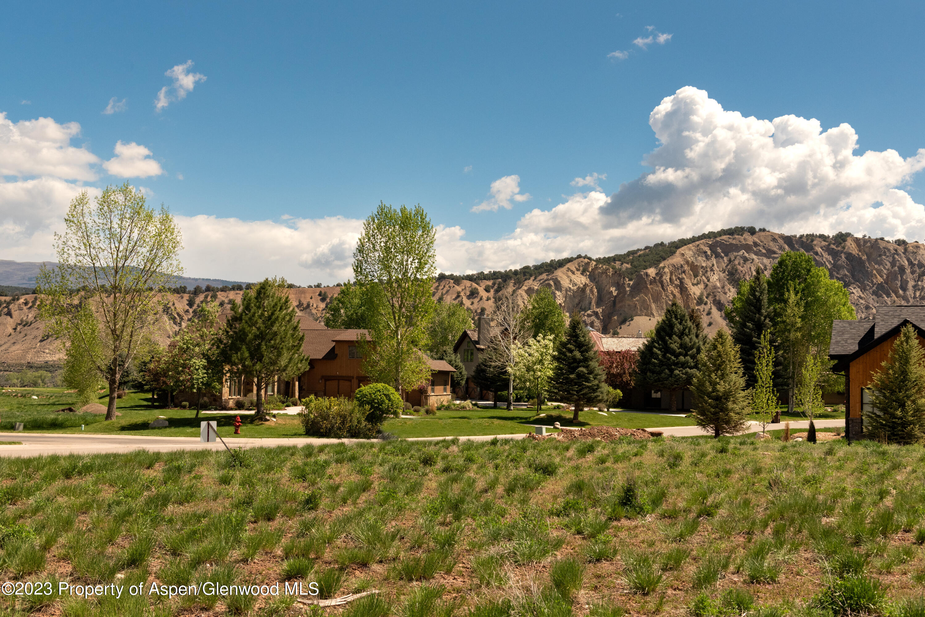 0 Midland Loop Carbondale, CO 81623 - Photo 8 of 13 a view of a yard