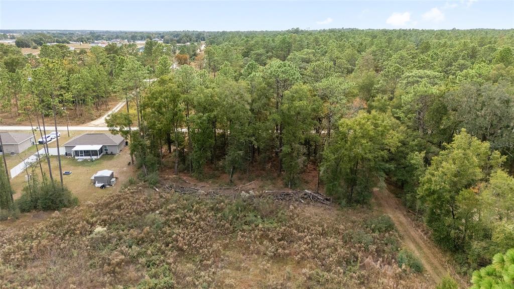 0 Southwest 28th Lane Ocala, FL 34481 - Photo 15 of 23 a view of a forest with a street