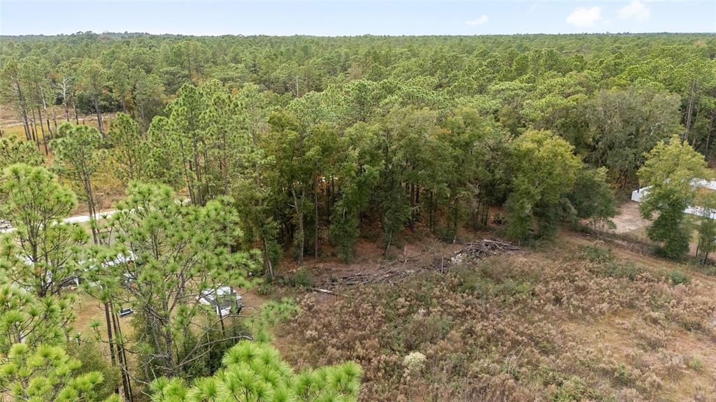0 Southwest 28th Lane Ocala, FL 34481 - Photo 16 of 23 a view of a forest with a street