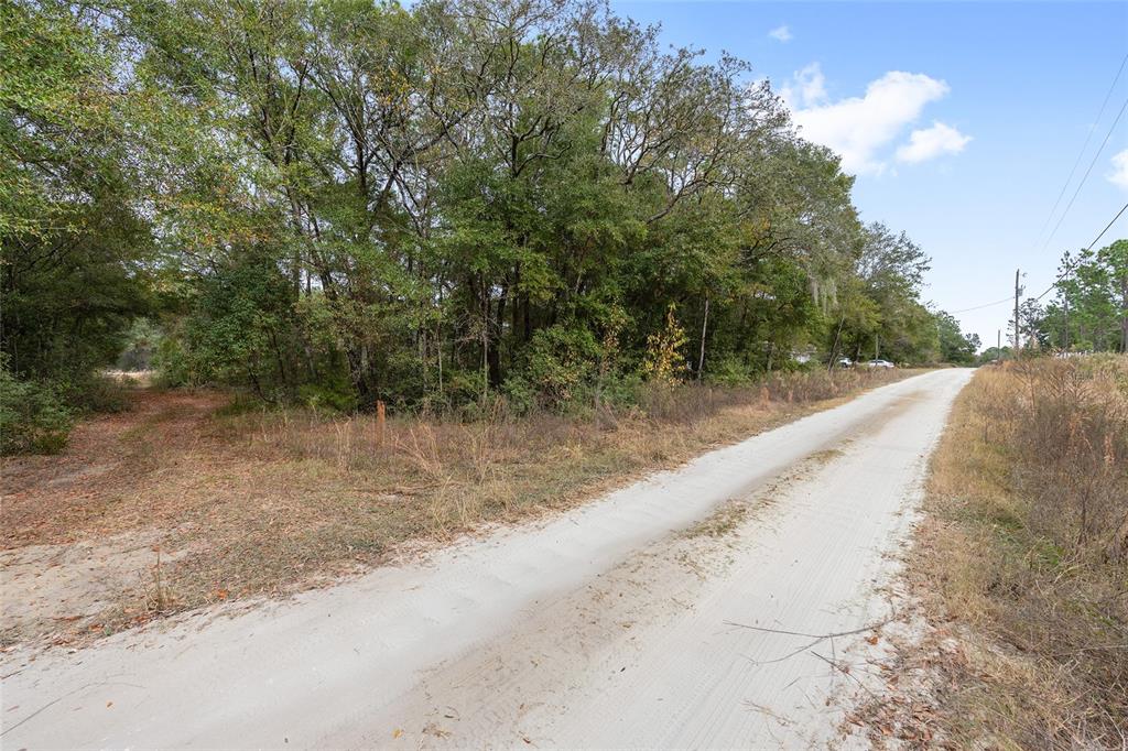 0 Southwest 28th Lane Ocala, FL 34481 - Photo 2 of 23 a view of a yard with a tree