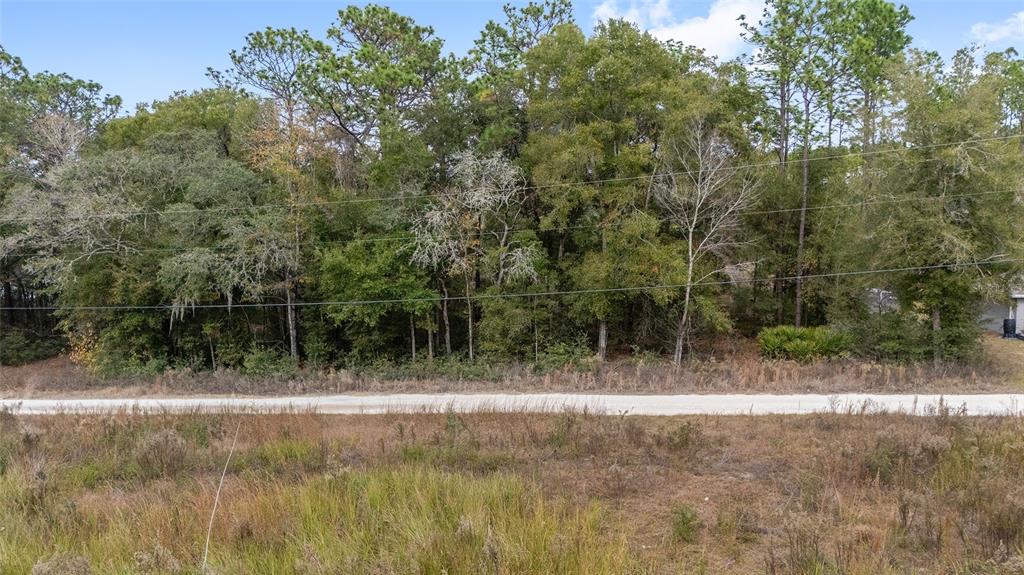 0 Southwest 28th Lane Ocala, FL 34481 - Photo 23 of 23 a view of outdoor space and yard