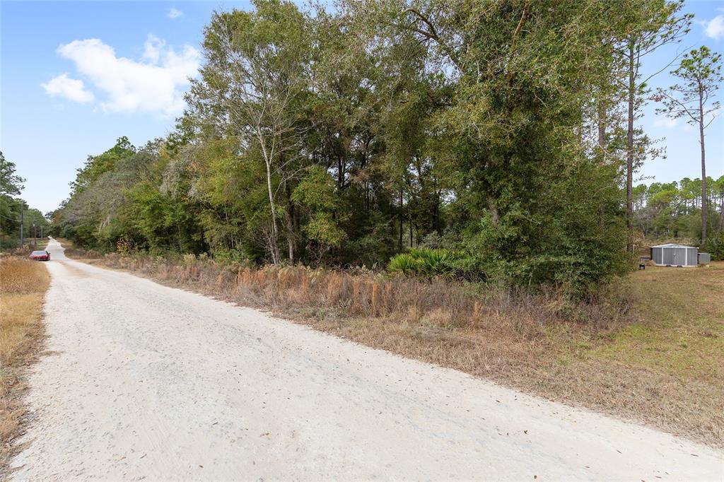 0 Southwest 28th Lane Ocala, FL 34481 - Photo 3 of 23 a view of a yard with a trees