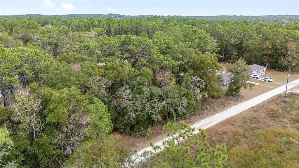 0 Southwest 28th Lane Ocala, FL 34481 - Photo 5 of 23 a view of a forest with a street