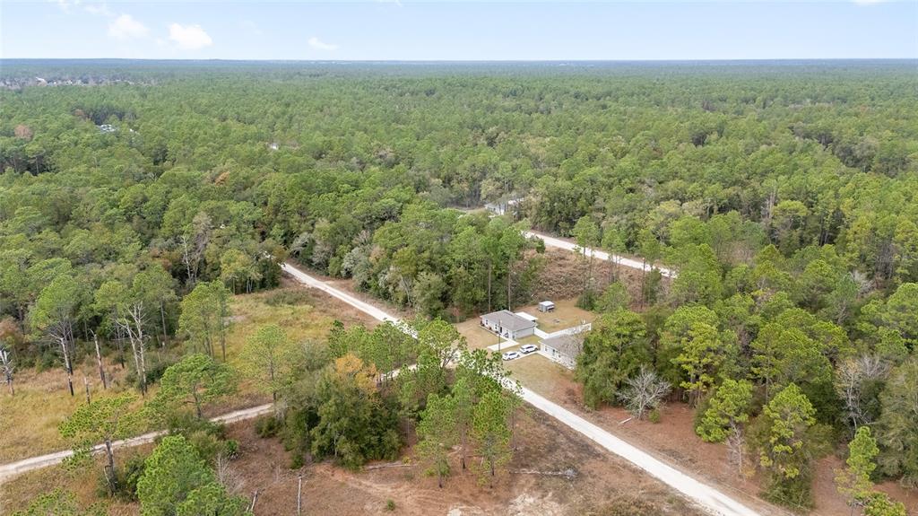 0 Southwest 28th Lane Ocala, FL 34481 - Photo 8 of 23 a view of a green yard with large trees