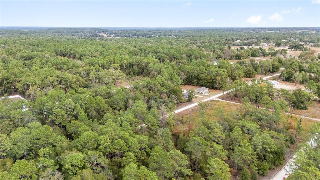 0 Southwest 28th Lane Ocala, FL 34481 - Photo 10 of 23 an aerial view of residential houses with outdoor space and trees