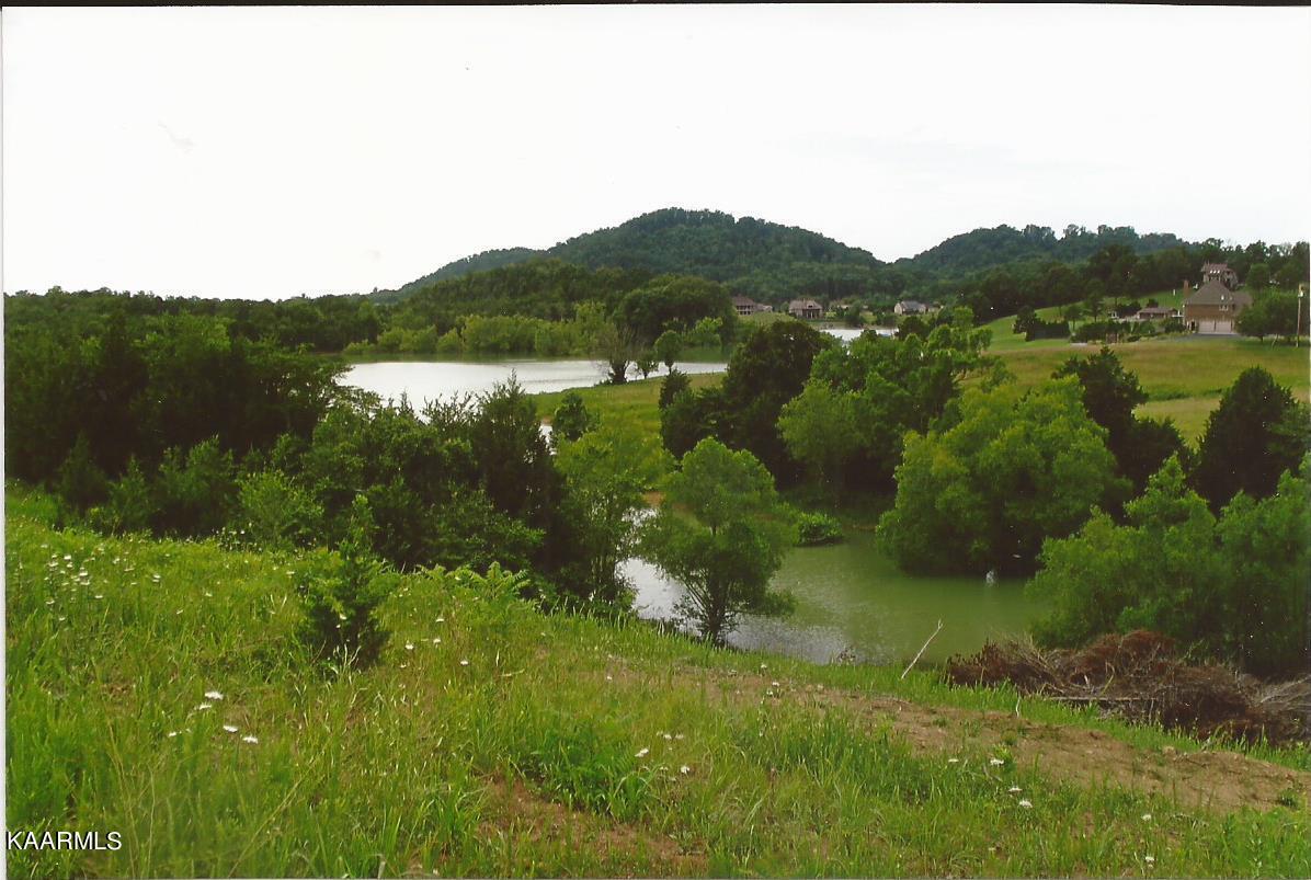 Rainwater Road Dandridge, TN 37725 - Photo 1 of 15 Rainwater pic 4