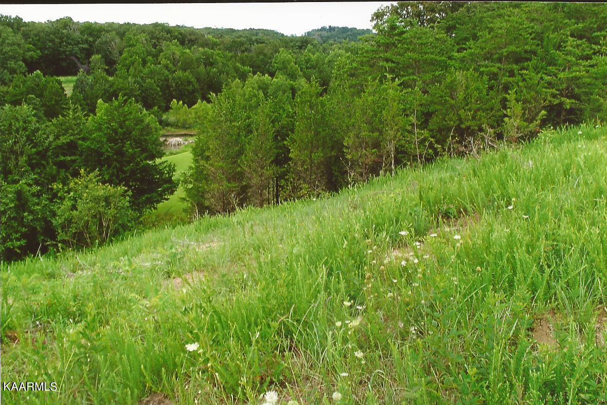 Rainwater Road Dandridge, TN 37725 - Photo 6 of 15 Rainwater pic 5