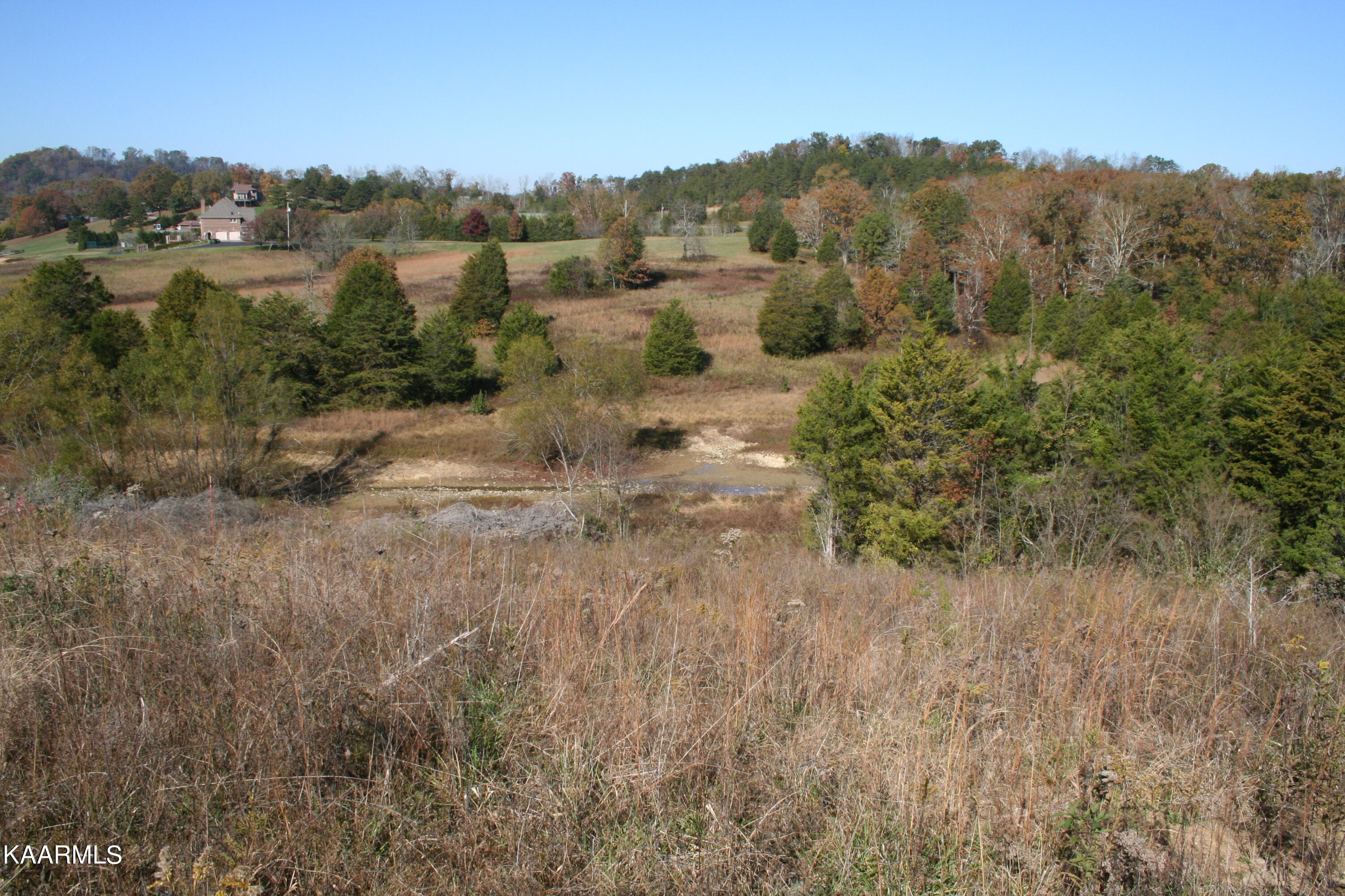 Rainwater Road Dandridge, TN 37725 - Photo 8 of 15 IMG_4048