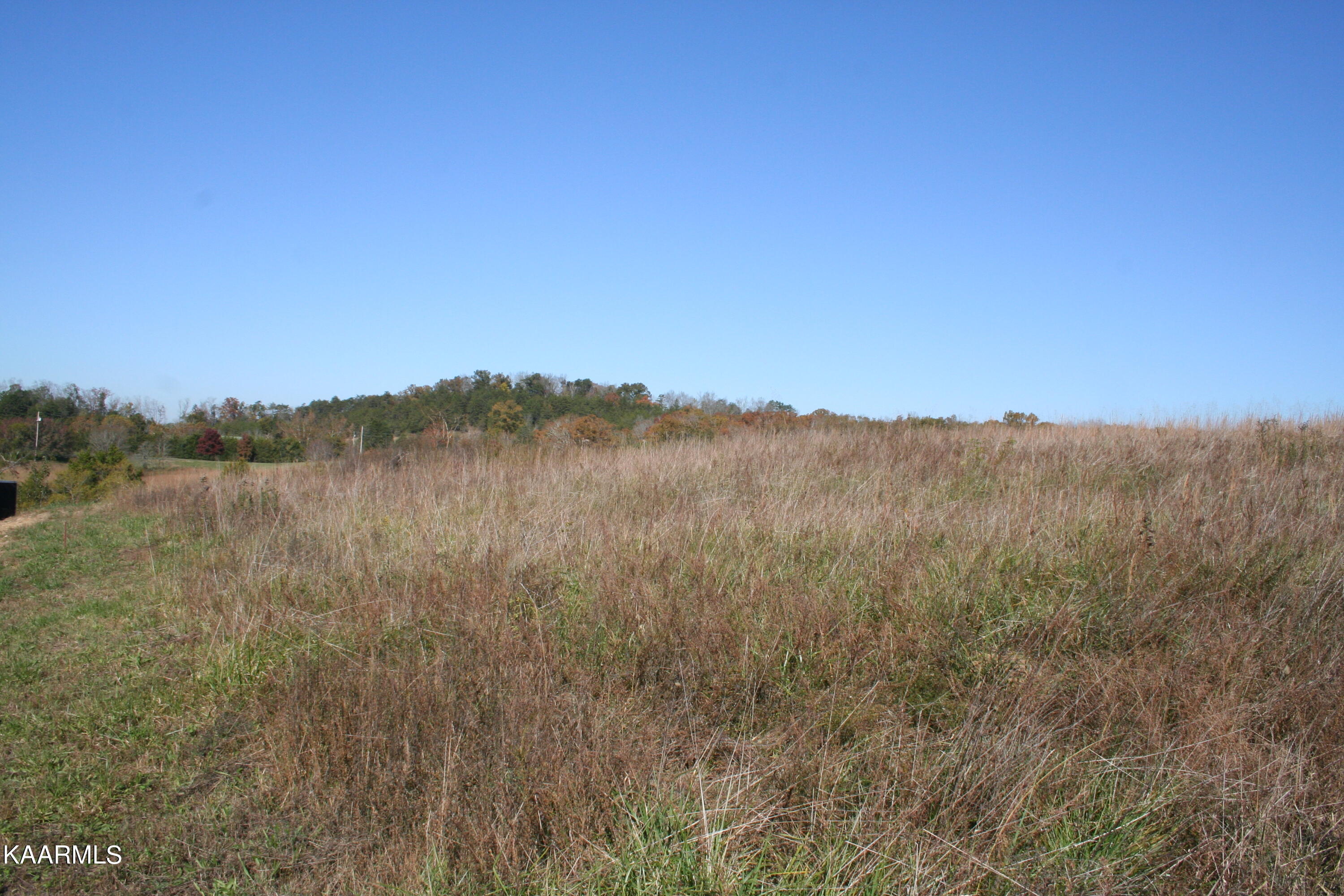Rainwater Road Dandridge, TN 37725 - Photo 10 of 15 IMG_4047