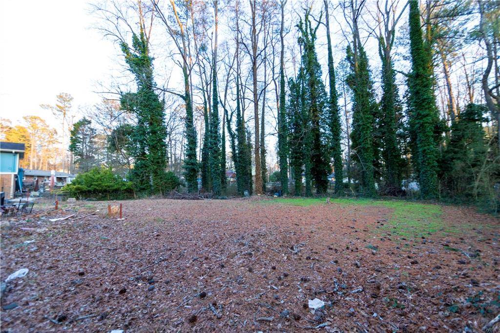 775 Shannon Way Lawrenceville, GA 30044 - Photo 4 of 24 a view of a yard with trees in the background
