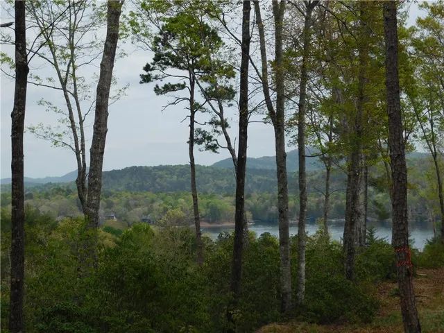 $150,000 | Lot 2 Old Chapman Bridge Road, Salem, SC 29676