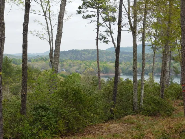 $150,000 | Lot 2 Old Chapman Bridge Road, Salem, SC 29676