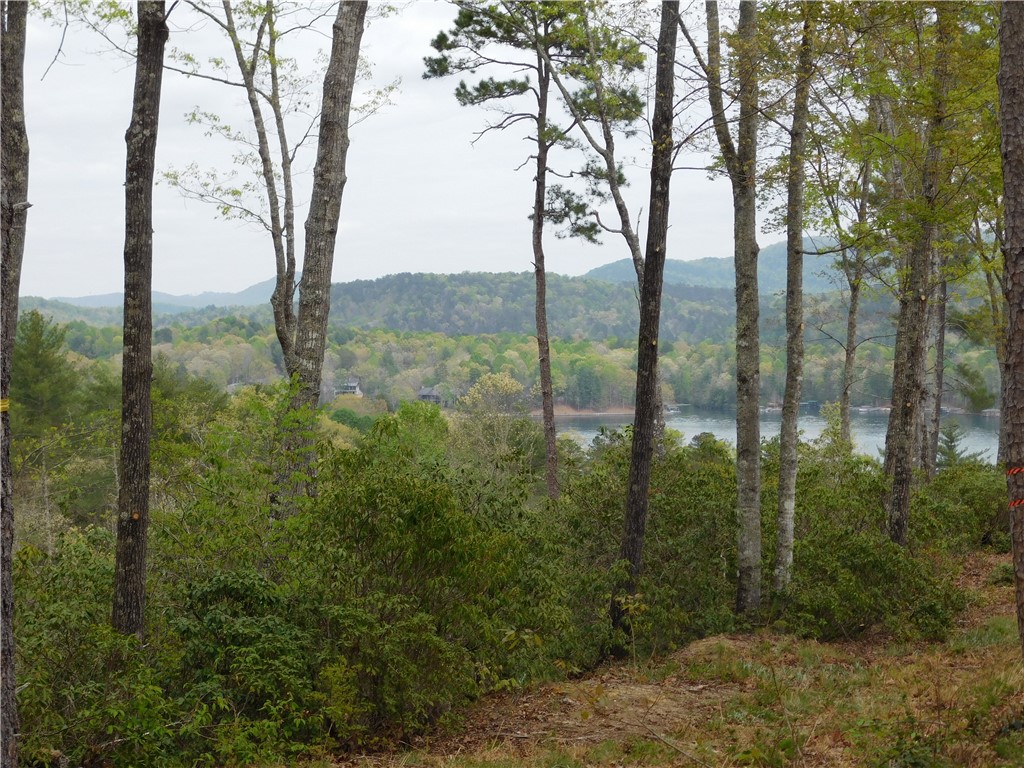 Lot 2 Old Chapman Bridge Road Salem, SC 29676 - Photo 2 of 8