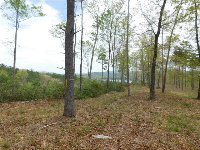 $150,000 | Lot 2 Old Chapman Bridge Road, Salem, SC 29676