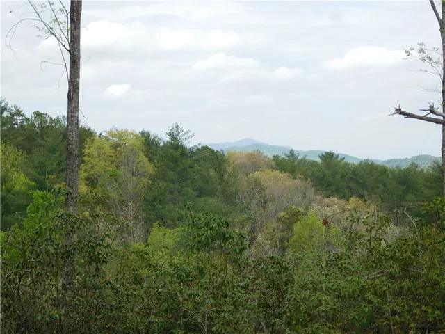 $150,000 | Lot 2 Old Chapman Bridge Road, Salem, SC 29676