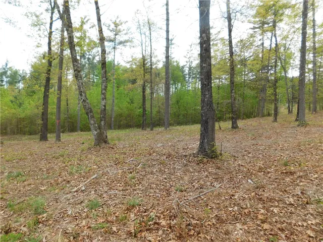 $150,000 | Lot 2 Old Chapman Bridge Road, Salem, SC 29676