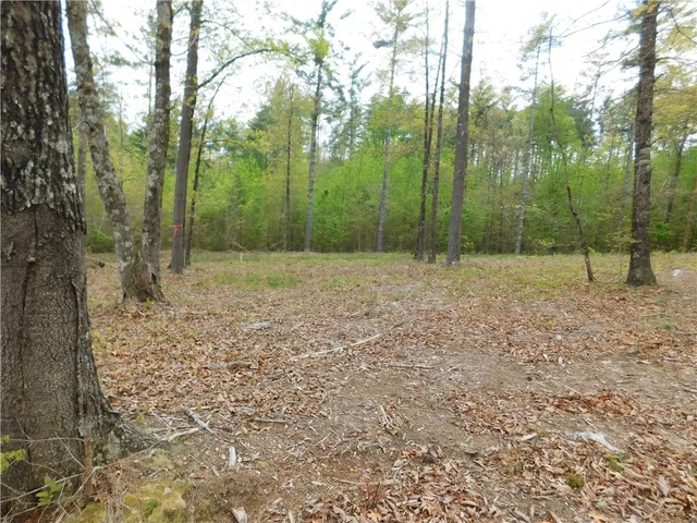 $150,000 | Lot 2 Old Chapman Bridge Road, Salem, SC 29676