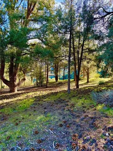 $30,000 | 2604 Tirol Drive, Pine Mountain Club, CA 93222