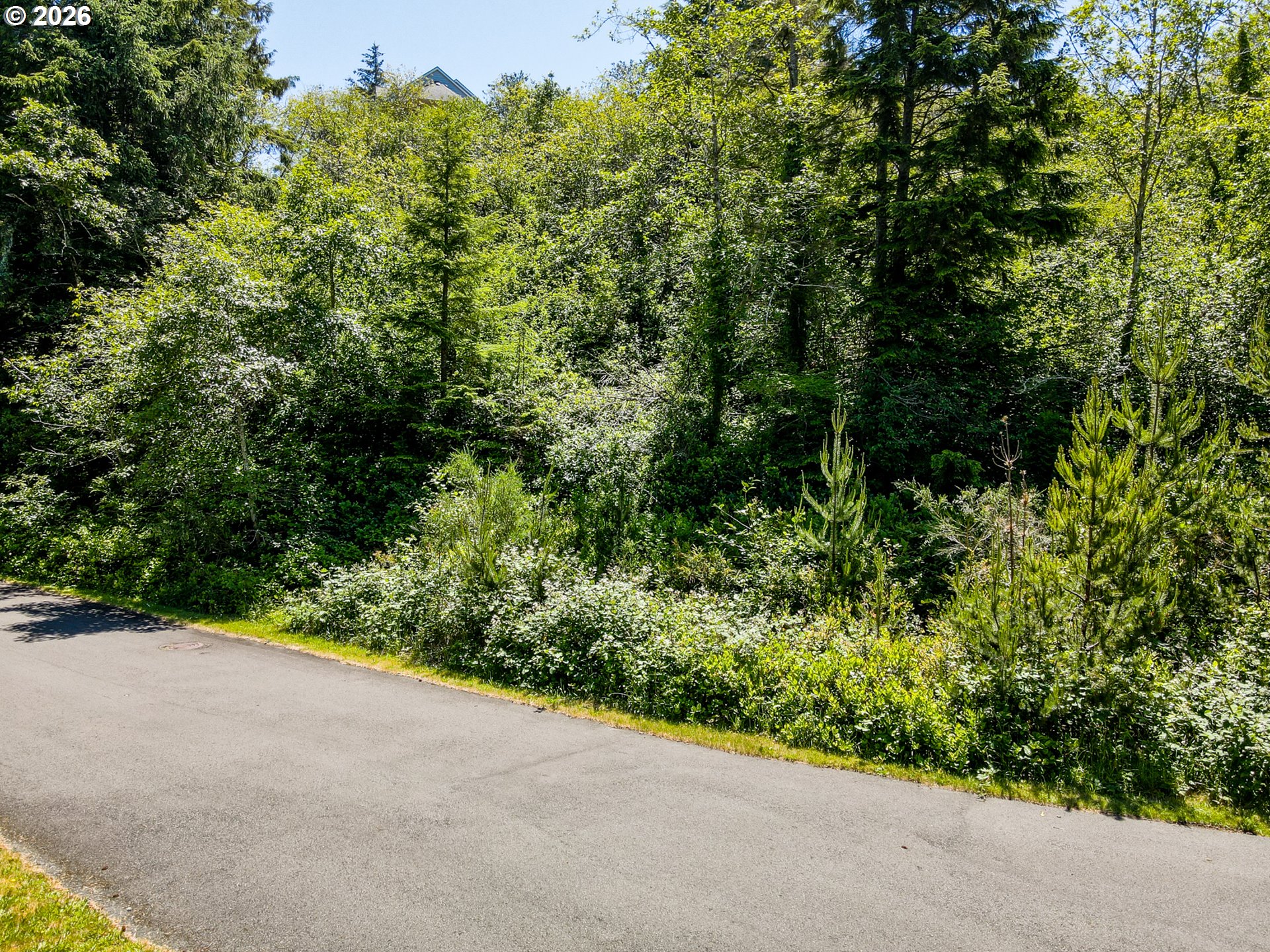 15 Dewolf Road, Unit LOT 15 Nehalem, OR 97131 - Photo 13 of 25