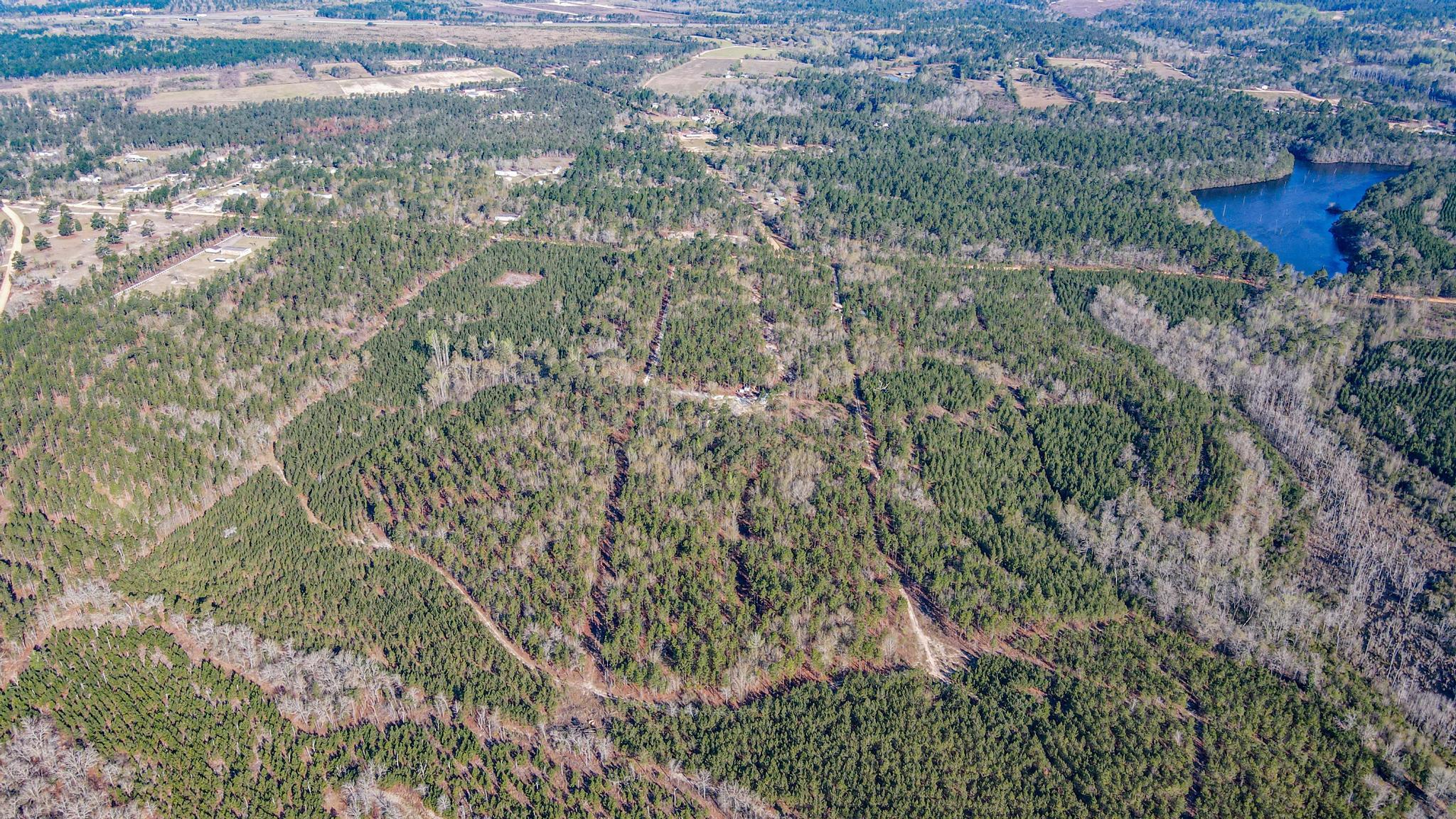 828 Hutto Pond Road Aiken, SC 29805 - Photo 10 of 10