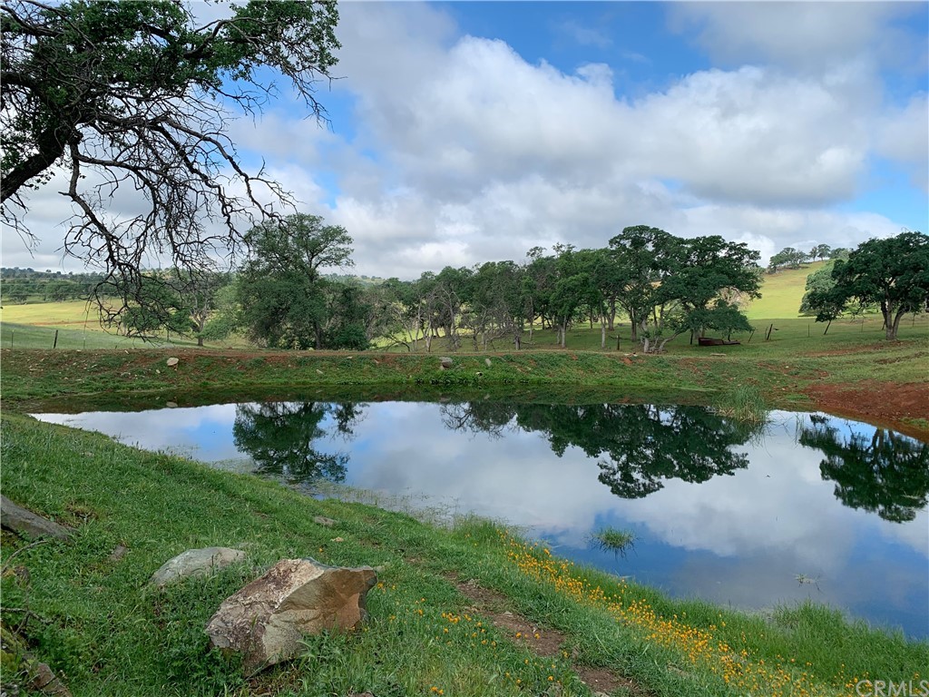 328 Exchequer Dam Road Mariposa, CA 95338 - Photo 1 of 1 Gallery Image 1