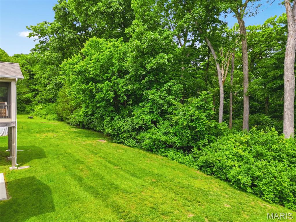 27471 Forest Ridge Court Warrenton, MO 63383 - Photo 49 of 82
