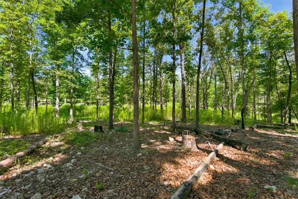 0 Williams Road Southeast Silver Creek, GA 30173 - Photo 23 of 35