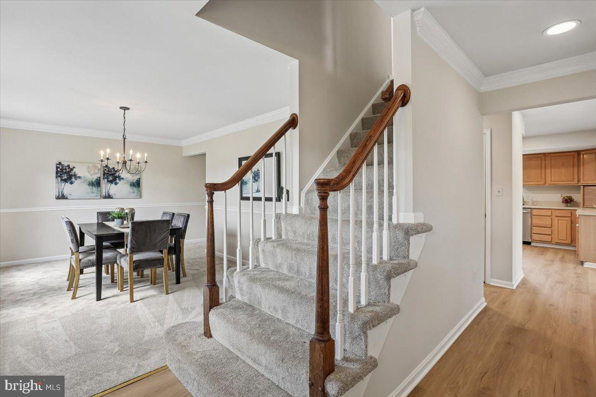 17413 Rio Dulce Court Olney, MD 20832 - Photo 34 of 85 Freshly painted and new floors carpet throughout