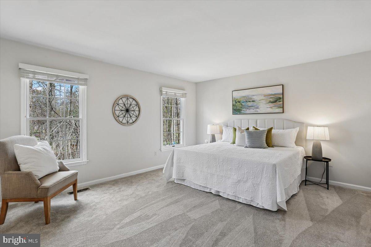 17413 Rio Dulce Court Olney, MD 20832 - Photo 35 of 85 Primary Bedroom