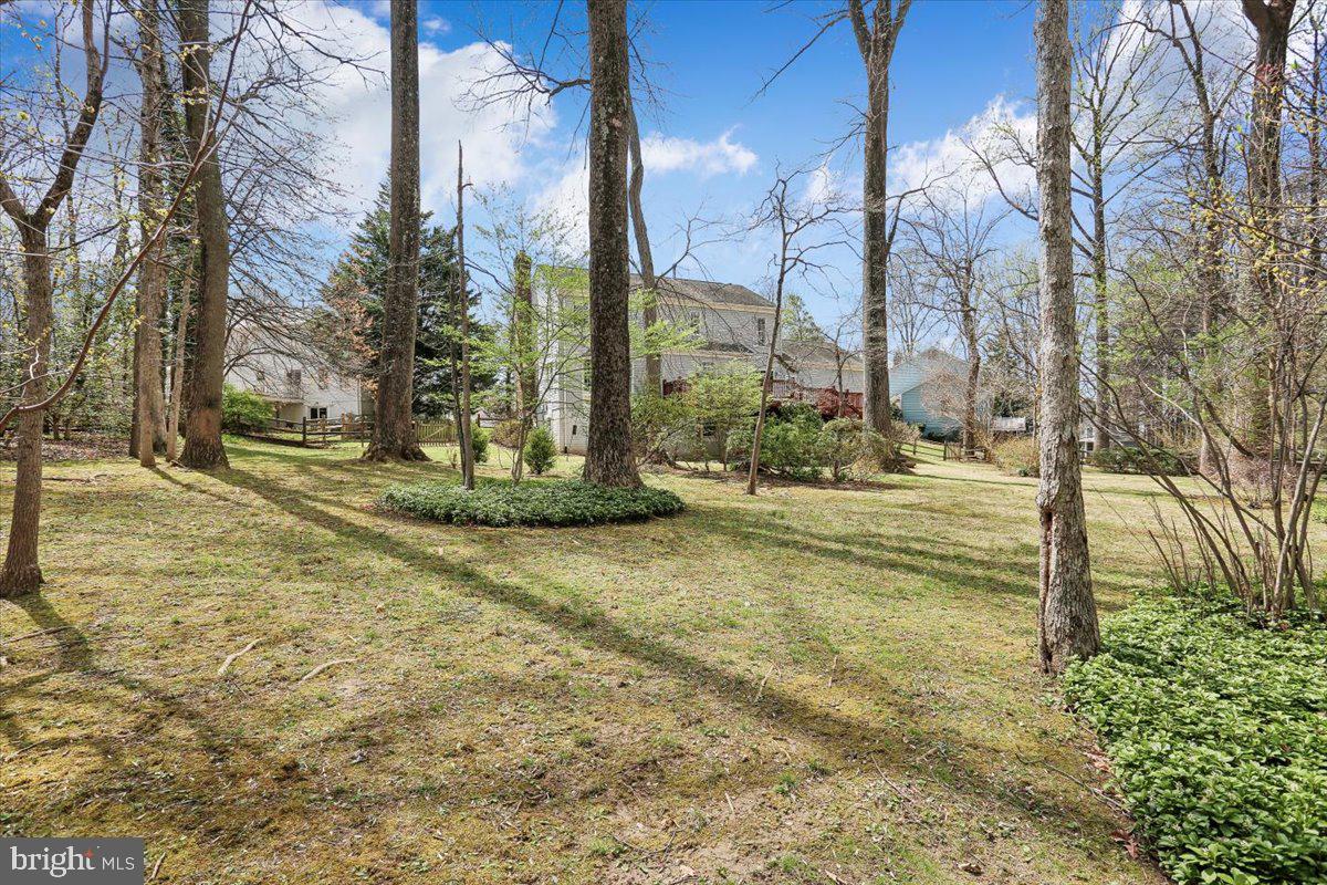 17413 Rio Dulce Court Olney, MD 20832 - Photo 65 of 85