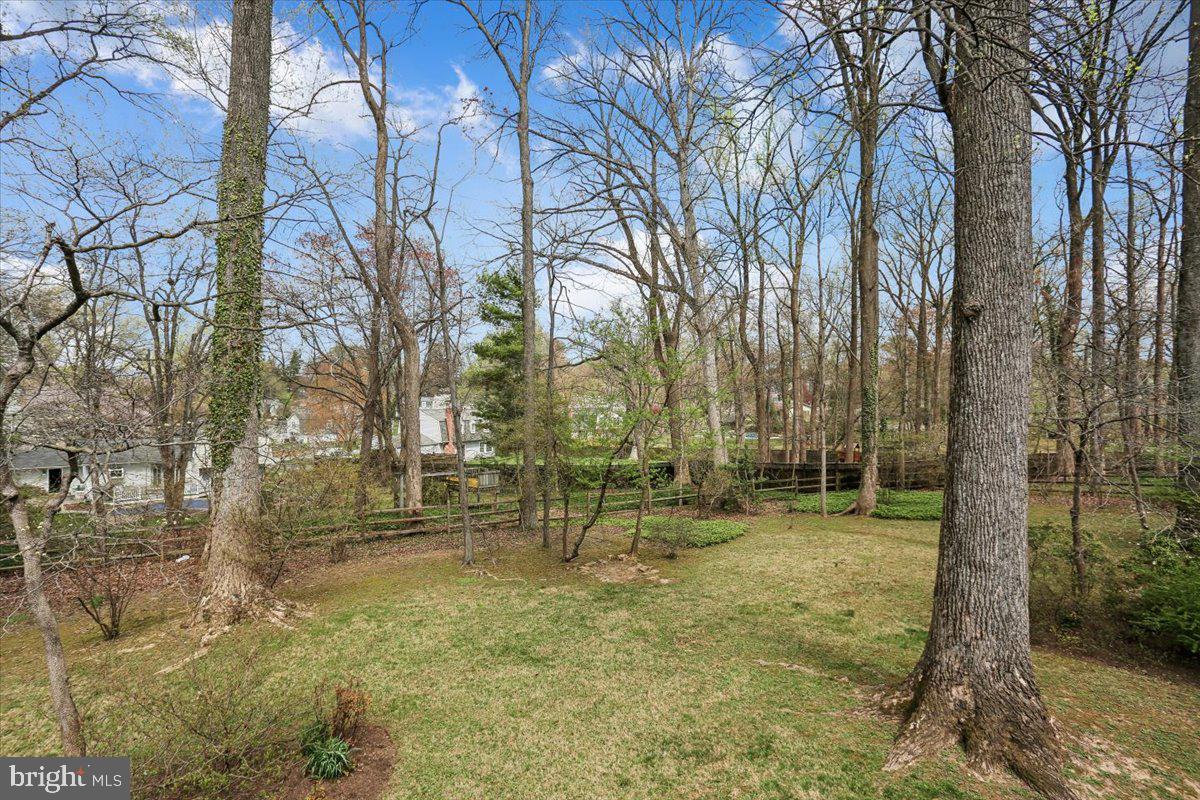 17413 Rio Dulce Court Olney, MD 20832 - Photo 68 of 85