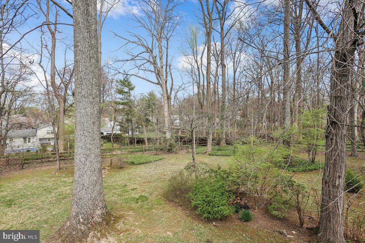 17413 Rio Dulce Court Olney, MD 20832 - Photo 69 of 85