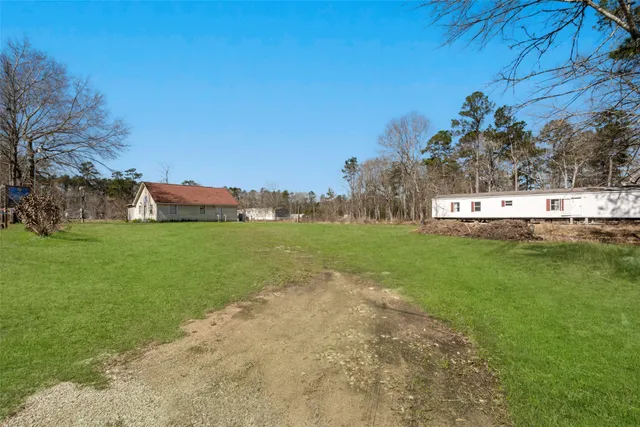 a view of a garden with large trees