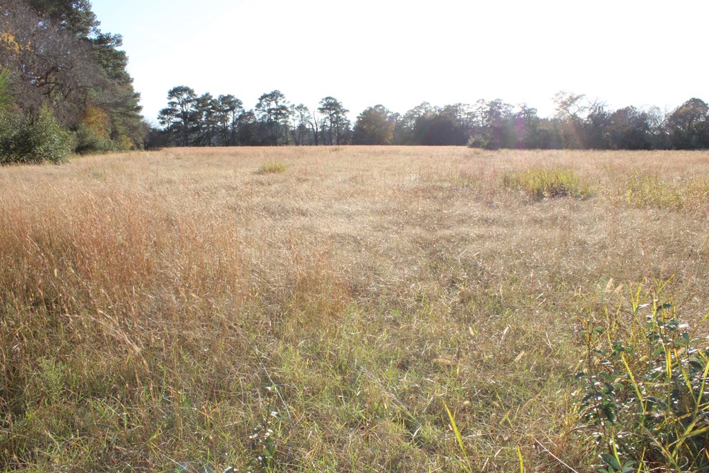 Lot 3-4 Mink Farm Road, Unit 4 3 Onancock, VA 23417 - Photo 8 of 19