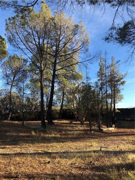 58160 Bliss Road Anza, CA 92539 - Photo 18 of 24 a view of a yard with a fountain