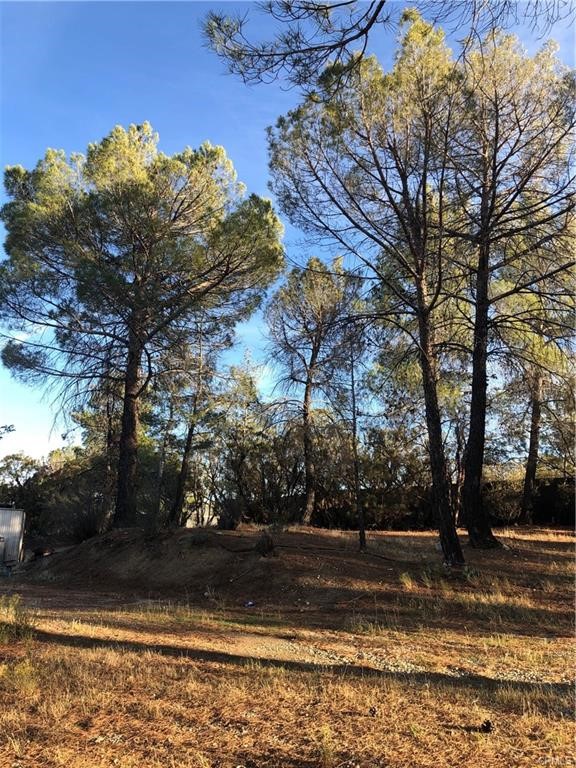 58160 Bliss Road Anza, CA 92539 - Photo 20 of 24 a view of a yard