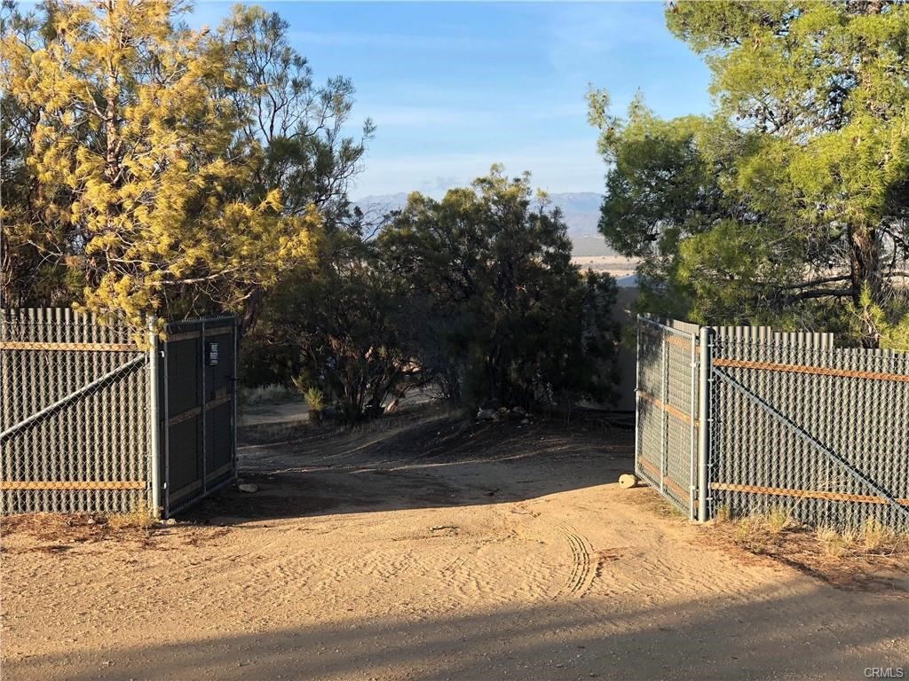 58160 Bliss Road Anza, CA 92539 - Photo 22 of 24 a view of a backyard with a tree