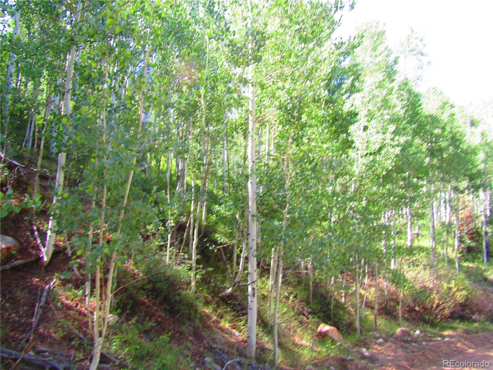 Lot 6295 Malcolm Road San Luis, CO 81152 - Photo 17 of 31