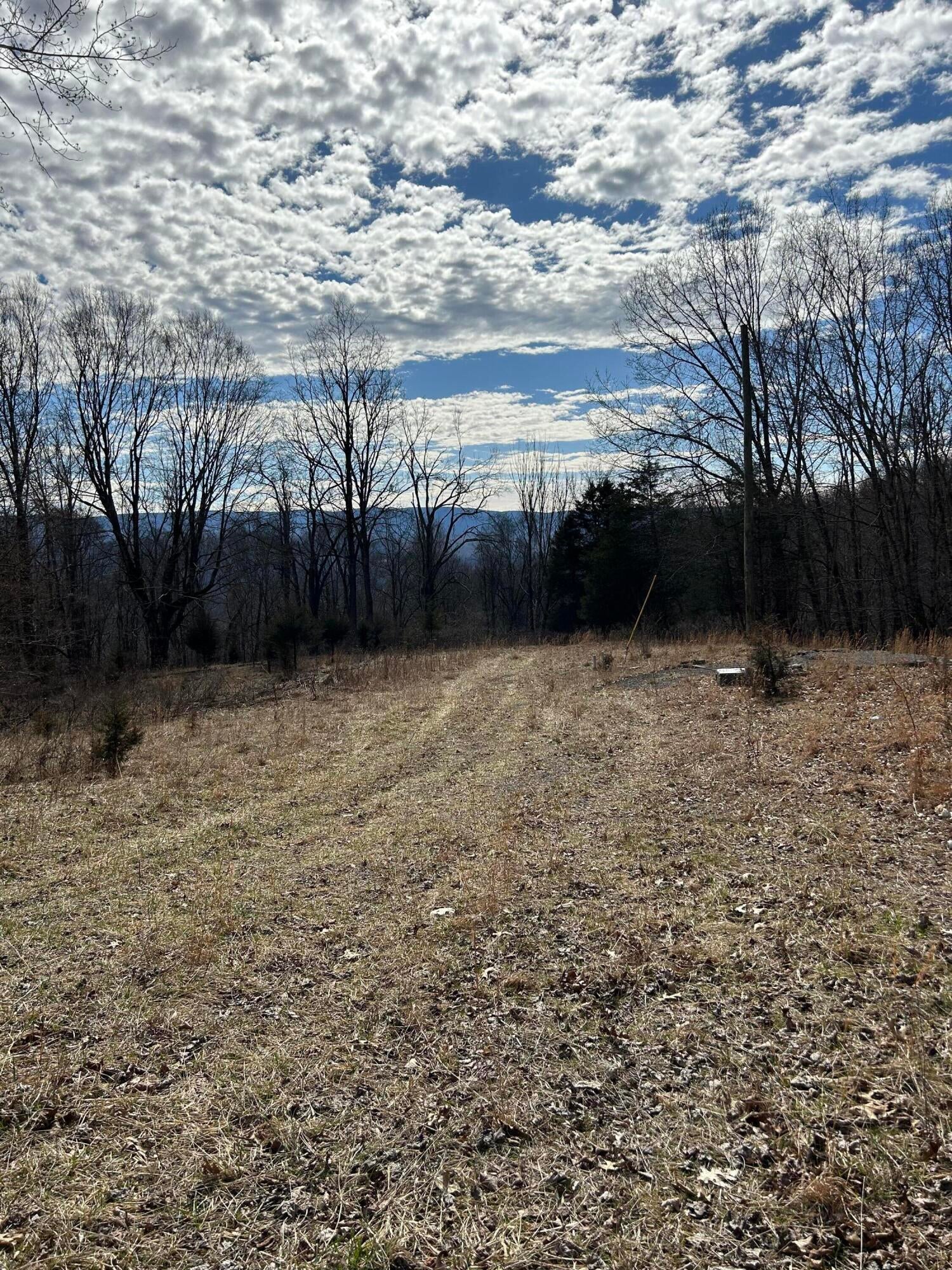 Kountz Rd Union Union, WV 24983 - Photo 8 of 48 Gallery Image 8