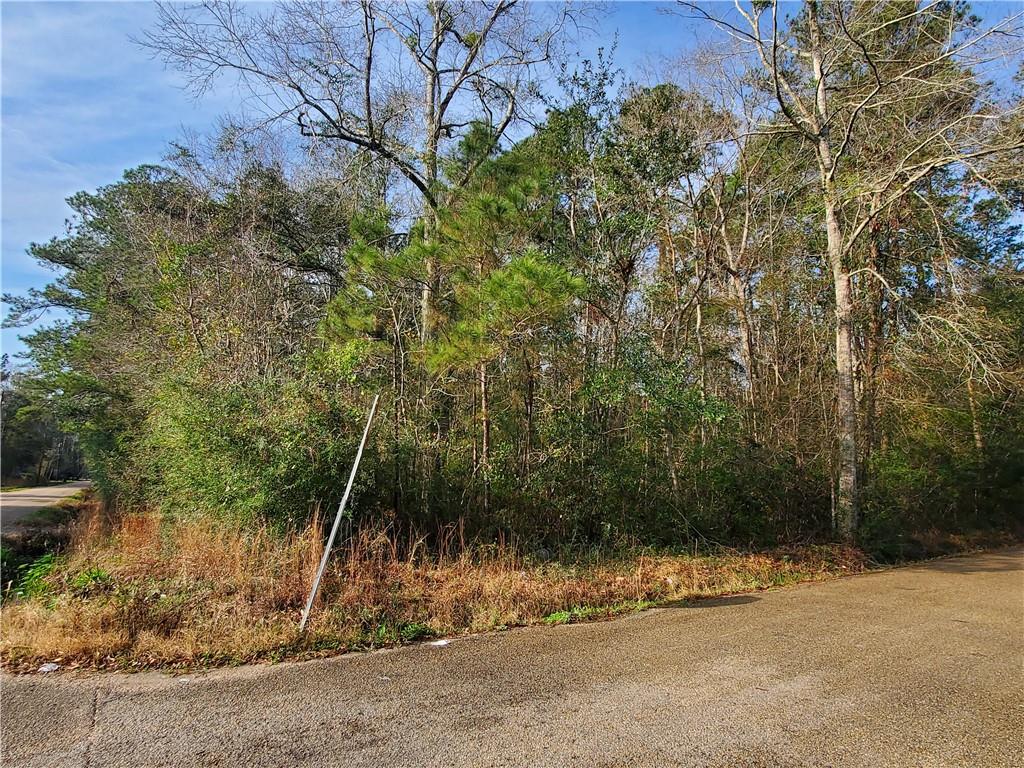 0 Jackson Street Lacombe, LA 70445 - Photo 2 of 5