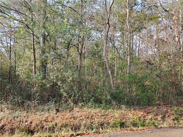 0 Jackson Street Lacombe, LA 70445 - Photo 3 of 5