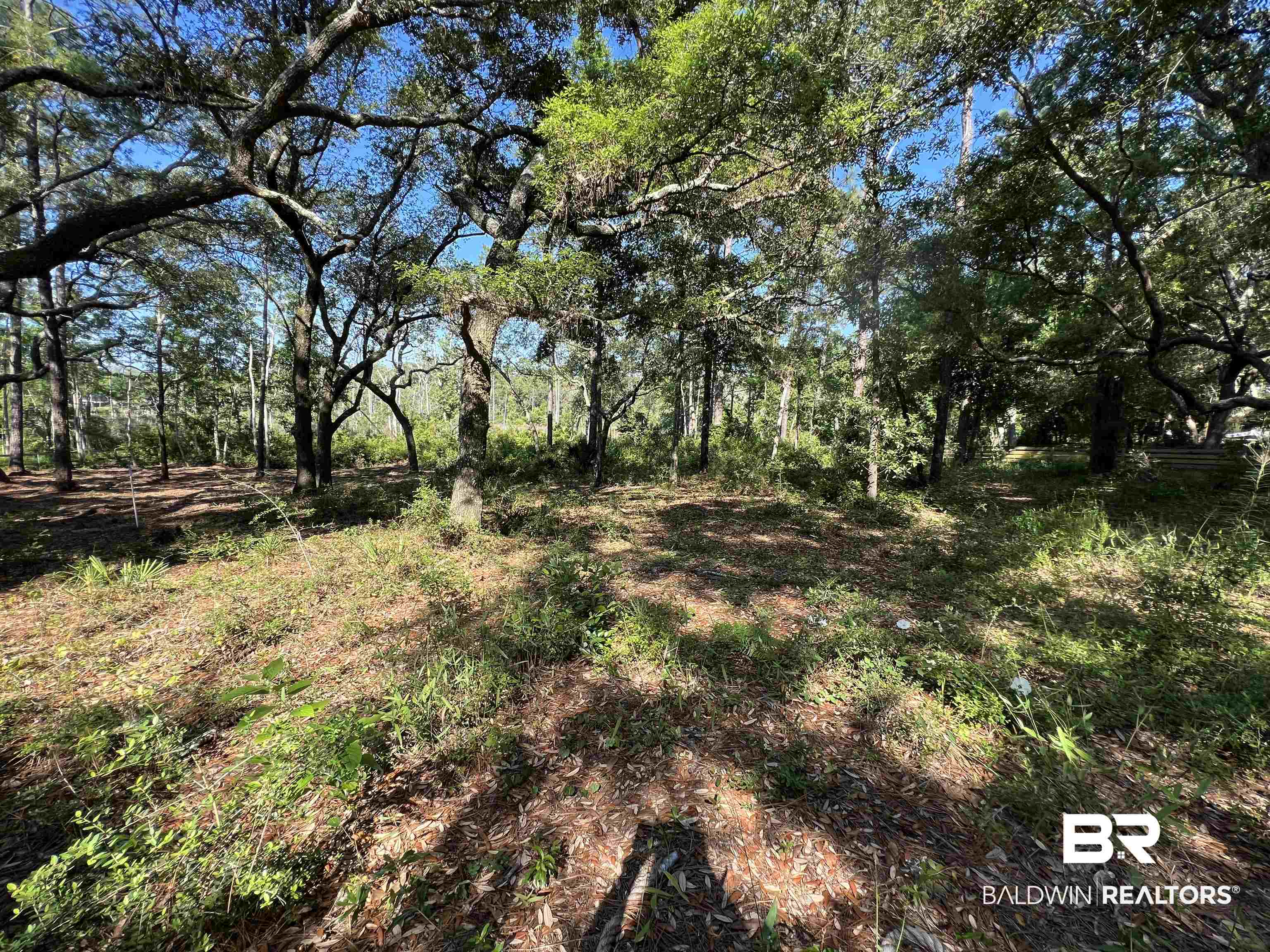9545 North Bayou Road Lillian, AL 36549 - Photo 18 of 34 View of landscape