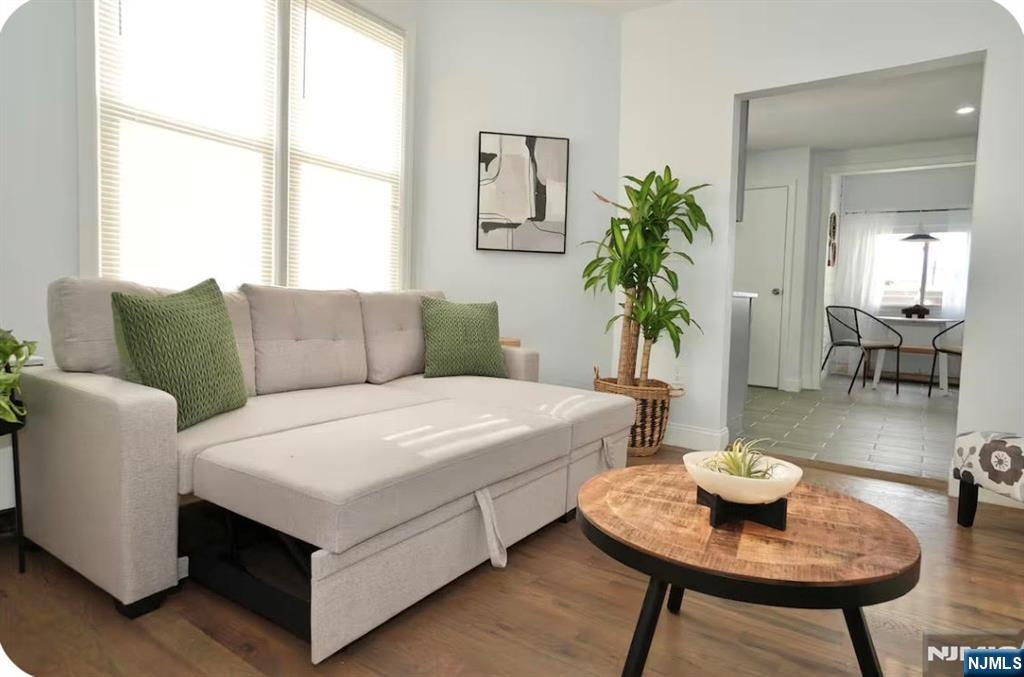 125 Malvern Street Newark, NJ 07105 - Photo 7 of 19 a living room with furniture and a potted plant