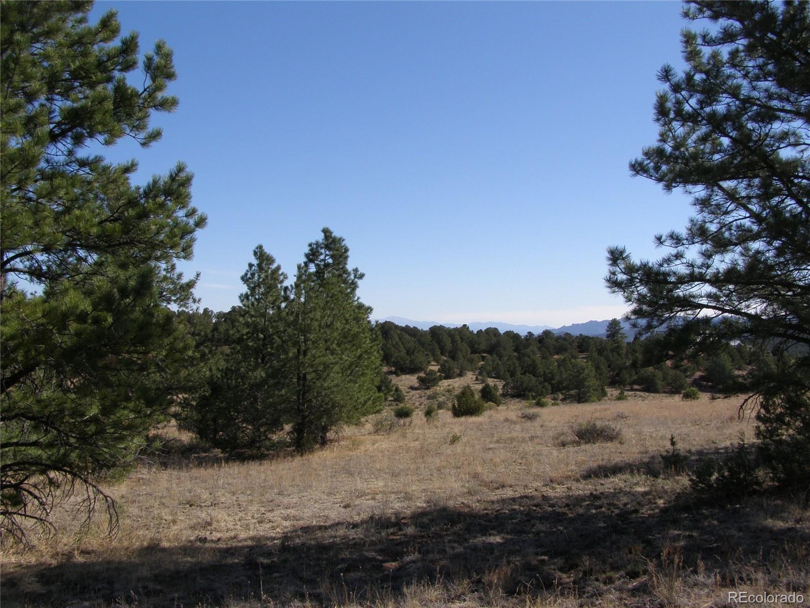 Mitchell Mountain Road Westcliffe, CO 81252 - Photo 8 of 9 Gallery Image 8