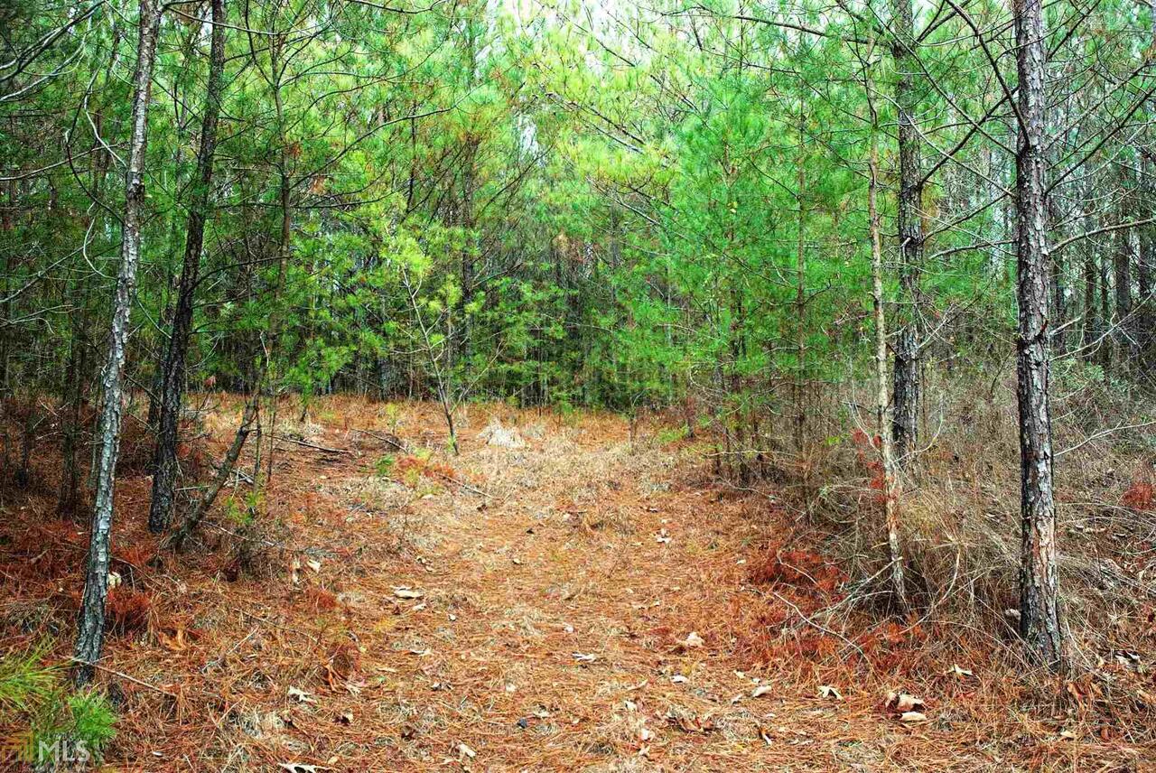 0 Southeast Pinyan Road, Unit 96102 Ranger, GA 30734 - Photo 1 of 1
