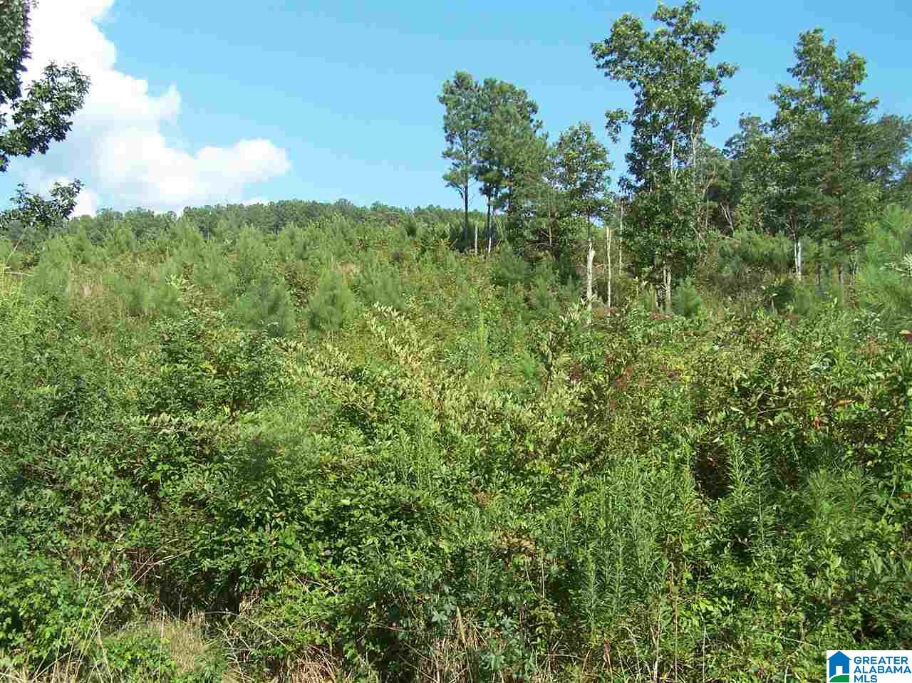 0 Jackson Trail, Unit 140 ACRES Altoona, AL 35952 - Photo 50 of 50